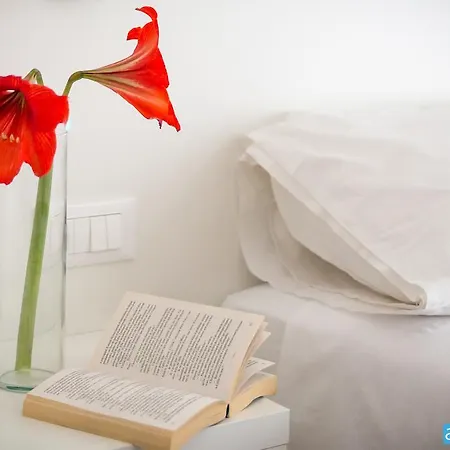 Amicizia Hotel Rímini