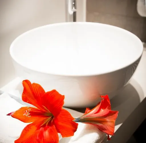 アミチツィア 3*