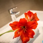 Amicizia Hotel Rimini