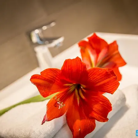 Amicizia Otel Rimini