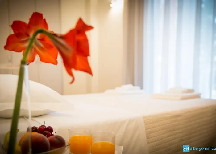 Amicizia Hotel Rimini