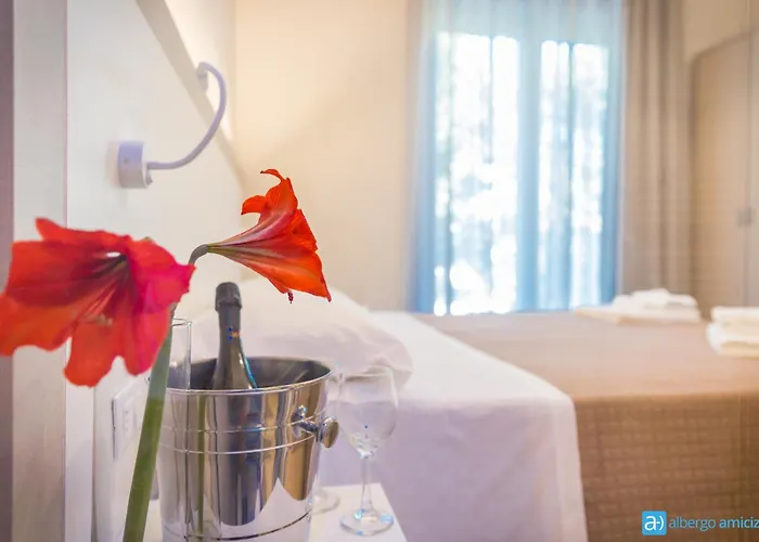Amicizia 3* Римини