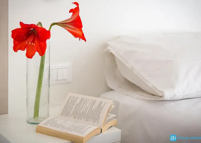 Amicizia Hotel Rimini