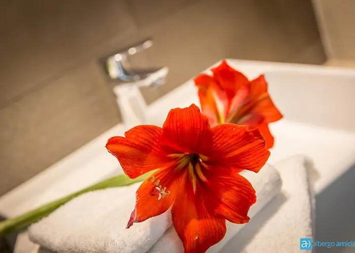 Amicizia Hotel Rimini